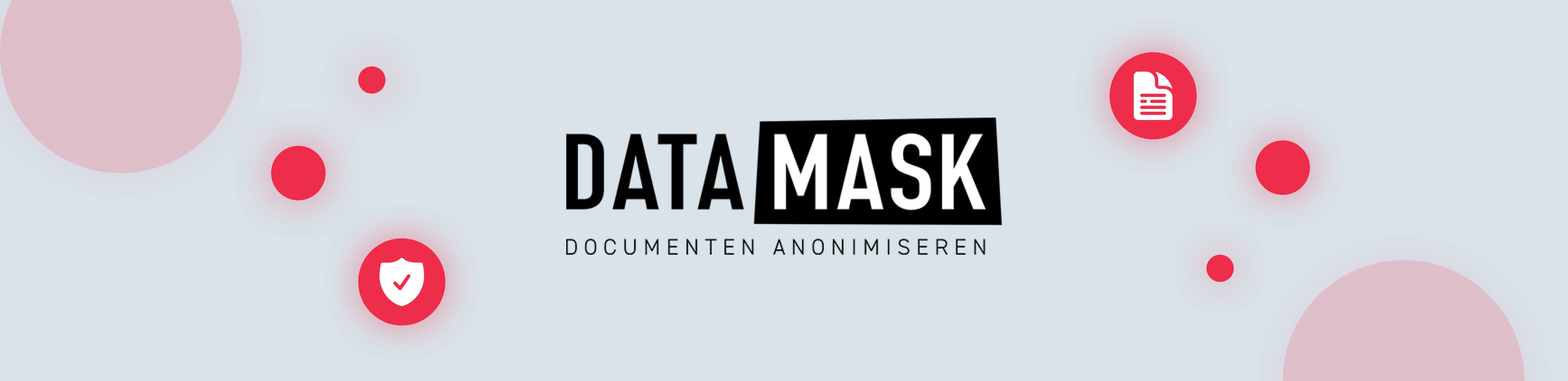 Data anonymization software development by Milies Milies software outsourcing company